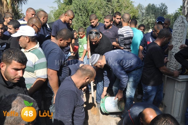 Janza yosef 3obra (9).JPG